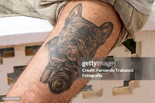 42 Bulldog Tattoos Designs Photos and Premium High Res Pictures - Getty Images 42 Bulldog Tattoos Designs Photos and Premium High Res Pictures - Getty Images
