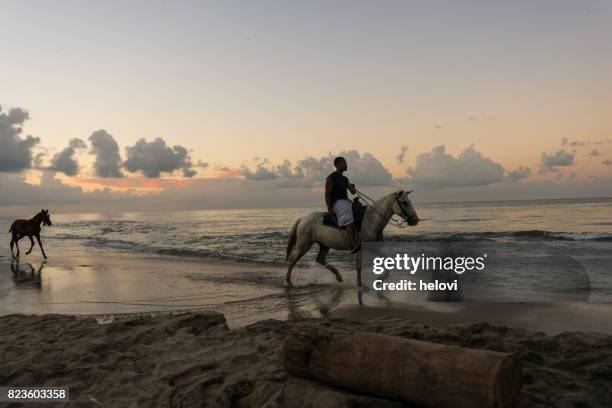 lonely rider on the beach - la ceiba stock pictures, royalty-free photos & images