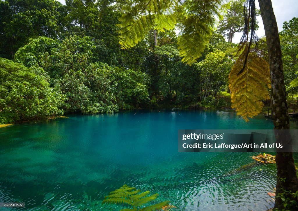 Matevulu blue hole, Sanma Province, Espiritu Santo, Vanuatu...