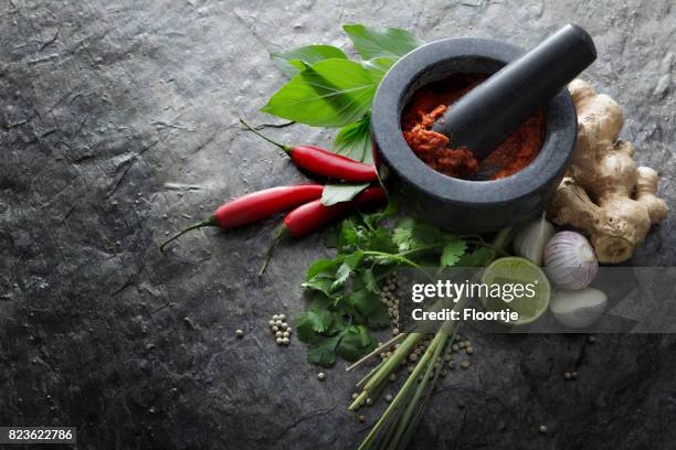 comida asiática: ingredientes para el rojo tailandés curry bodegón - thai food fotografías e imágenes de stock