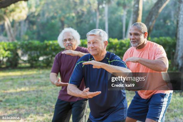 tre anziani multietnici nel parco che praticano il tai chi - taijiquan foto e immagini stock