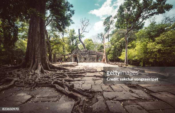 low angle view of angkor wat cambodia.ta prohm khmer temple - oude ruïne stockfoto's en -beelden