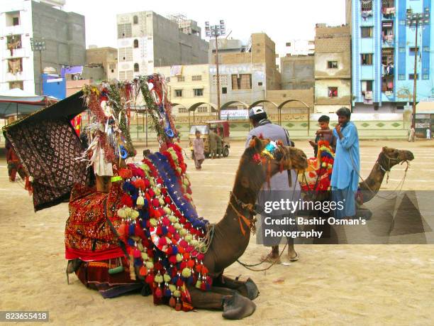 streets of karachi - 馬の衣装 ストックフォトと画像