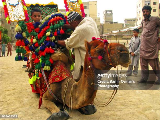 streets of karachi - 馬の衣装 ストックフォトと画像