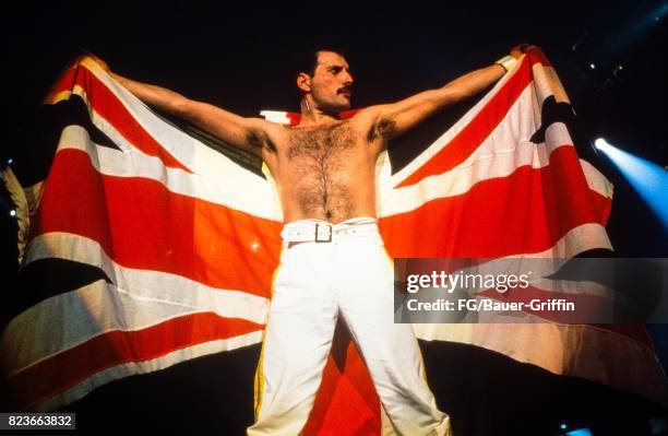 Queen plays Knebworth, the last concert on the Magic Tour on August 09, 1986 in Knebworth, United Kingdom. 170612F1