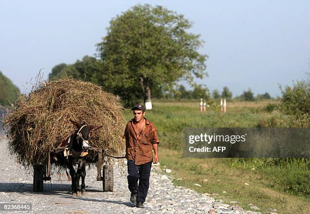 North Ossetian man goes with his donkey in Allagir, near the border between Russia and South Ossetia on August 15, 2008. Haos reigned on Friday in...