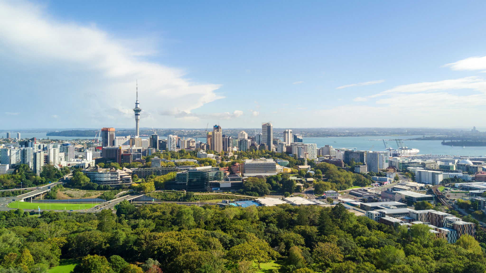 auckland nature