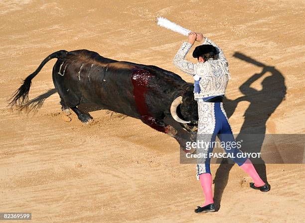 Picador performs to a Marques De Domecq fighting bull, on the second day of the Beziers Feria on August 15, 2008 in Beziers, southern France. AFP...