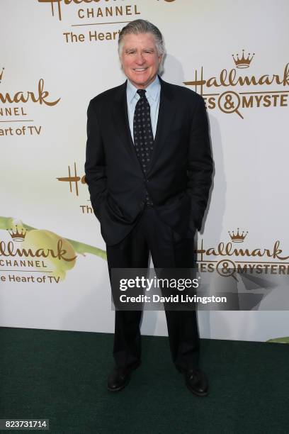 Actor Treat Williams attends the Hallmark Channel and Hallmark Movies and Mysteries 2017 Summer TCA Tour on July 27, 2017 in Beverly Hills,...