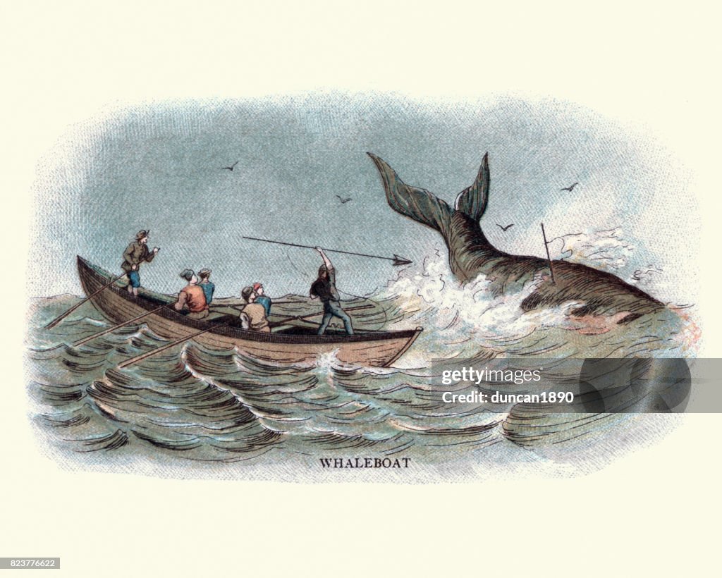 Balleneros del siglo XIX arponear una ballena
