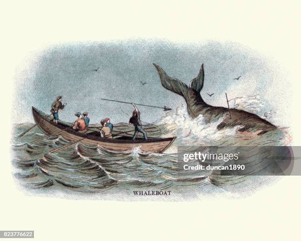 illustrazioni stock, clip art, cartoni animati e icone di tendenza di balenieri del xix secolo che arpioneno una balena - whales