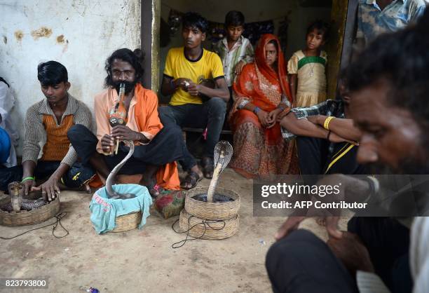 In this photo taken on July 14 an Indian snake charmer plays a flute as family members gather around cobra snakes in Kapari village, around 40km...