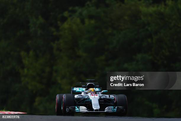 Lewis Hamilton of Great Britain driving the Mercedes AMG Petronas F1 Team Mercedes F1 WO8 on track during practice for the Formula One Grand Prix of...