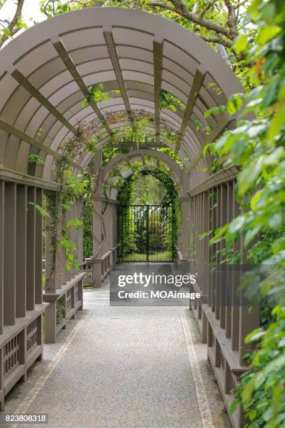 hamilton gardens-pergola - hamilton new zealand stock pictures, royalty-free photos & images