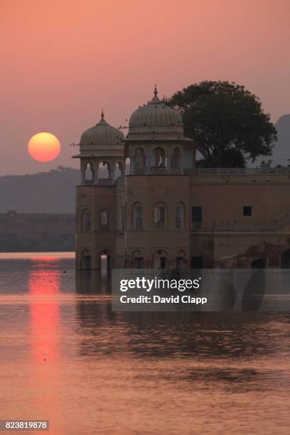 water palace, jaipur, rajasthan, india - udaipur palace stock-fotos und bilder