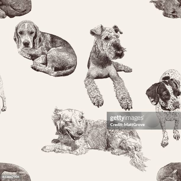 dog repeat - airedale terrier stock illustrations