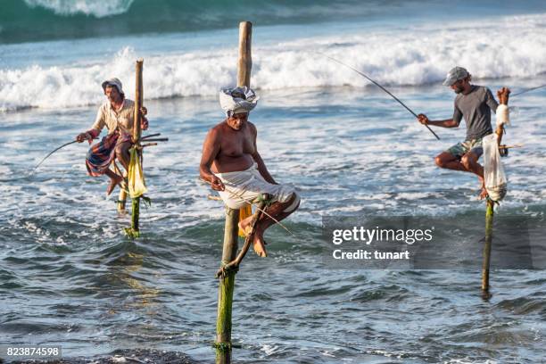 stilt fishing in sri lanka - stilts stock pictures, royalty-free photos & images