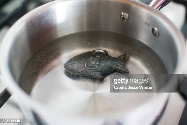 13 Lucky Iron Fish Stock Photos, High-Res Pictures, and Images