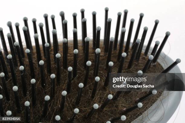 hair brush on a white background - broom handle stock pictures, royalty-free photos & images
