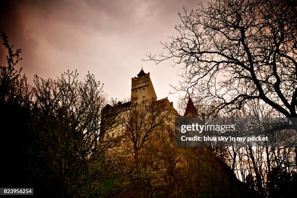 bran castle, romania. - bran romania stock pictures, royalty-free photos & images