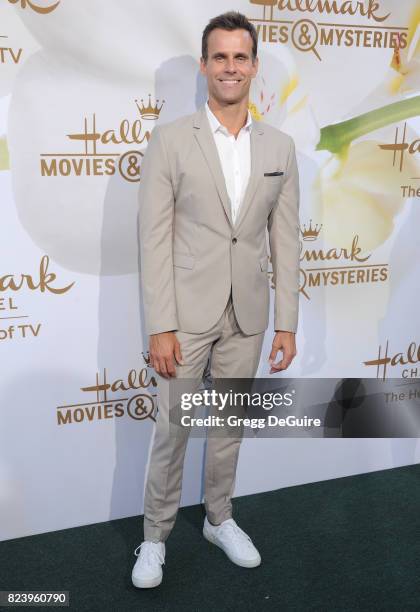 Cameron Mathison arrives at the 2017 Summer TCA Tour - Hallmark Channel And Hallmark Movies And Mysteries at a private residence on July 27, 2017 in...