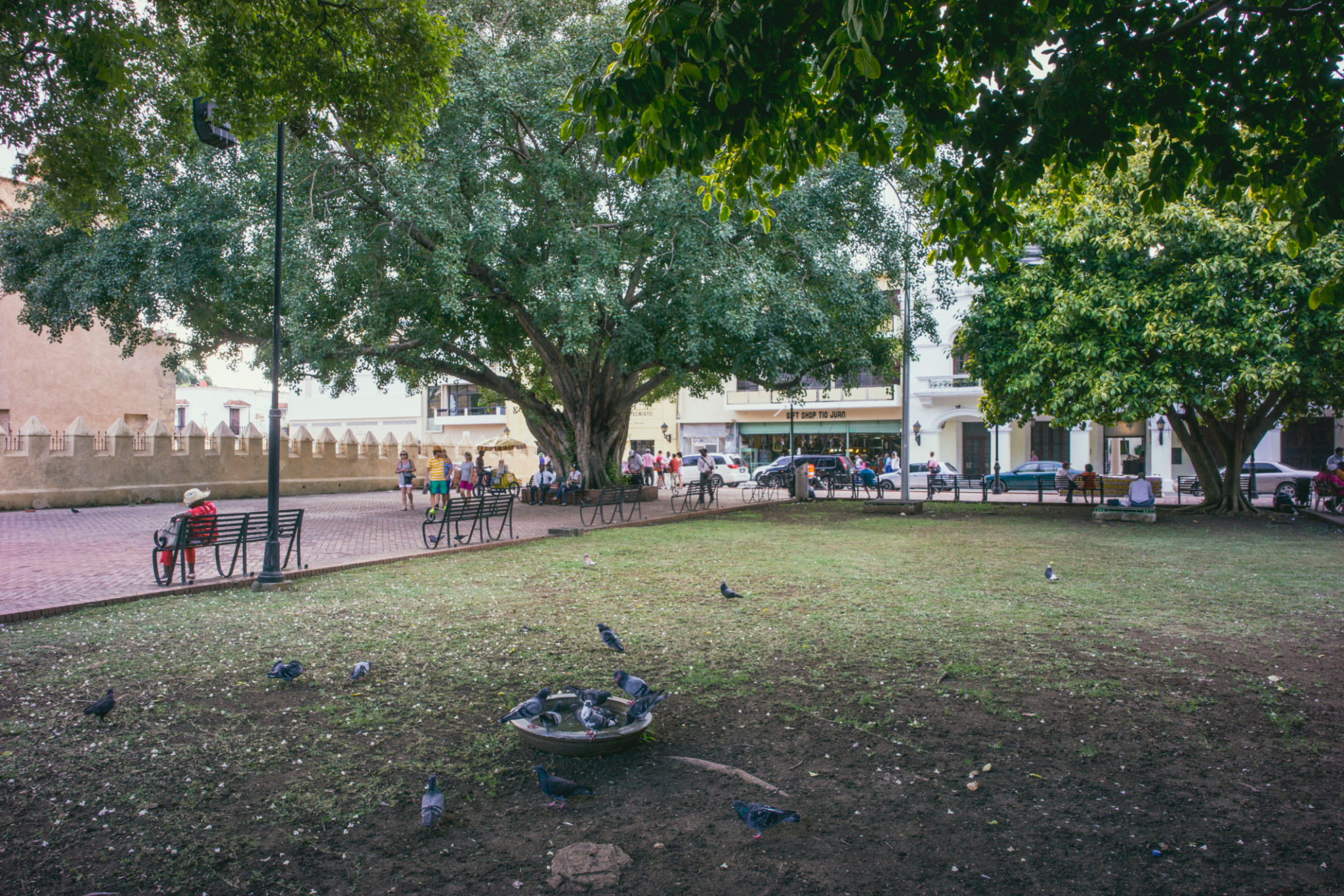 santo domingo ciudad