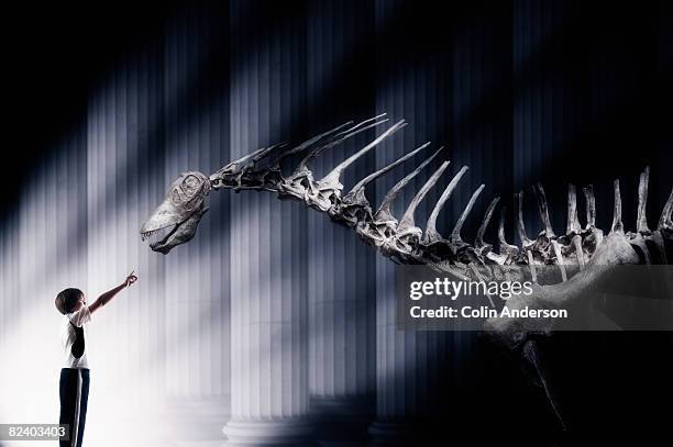 1,220 Skeleton Evolution Stock Photos, High-Res Pictures, and Images ...