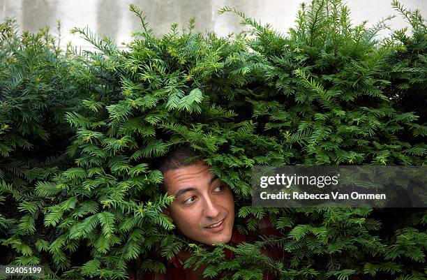 man peering out from bush - brush stock-fotos und bilder