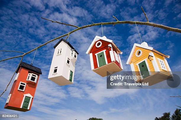 bird houses hanging from a branch - 鳥の巣 ストックフォトと画像