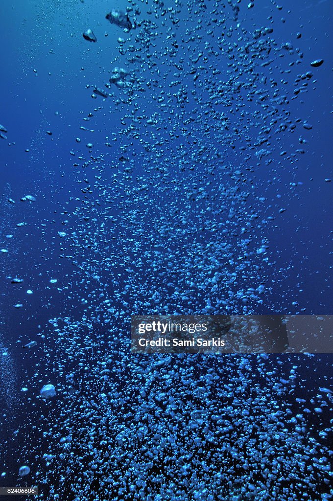 Bubbles rising to surface in sea