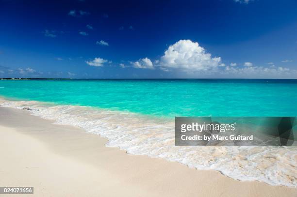 beautiful turquoise waters off of pink sand beach, barbuda, antigua & barbuda - barbuda stock pictures, royalty-free photos & images