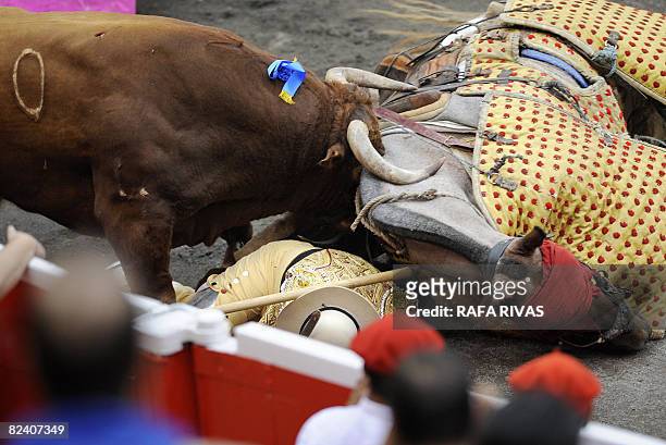 Picador lies on the sand as a Jandilla fighting bull attacks his horse during the second corrida of the Aste Nagusia festivities on August 18 at the...