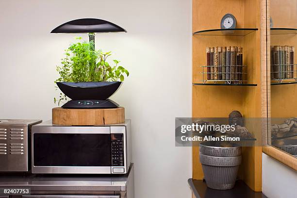 herb garden in kitchen of new york city apartment - hidropónica fotografías e imágenes de stock