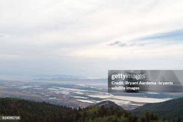 look out - ilha de antelope imagens e fotografias de stock