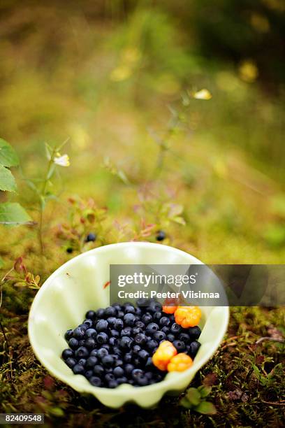 blueberries and cloudberries - cloudberry stockfoto's en -beelden