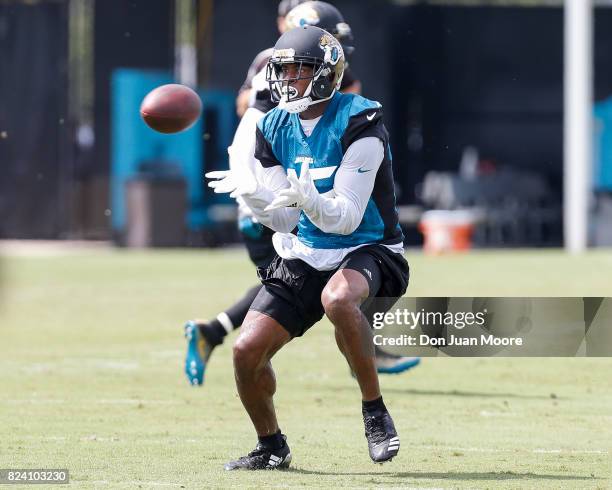 Wide Receiver Allen Robinson of the Jacksonville Jaguars makes a catch during Training Camp at Florida Blue Health and Wellness Practice Fields on...