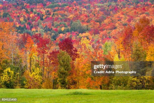 autumn foliage - new england usa fotografías e imágenes de stock