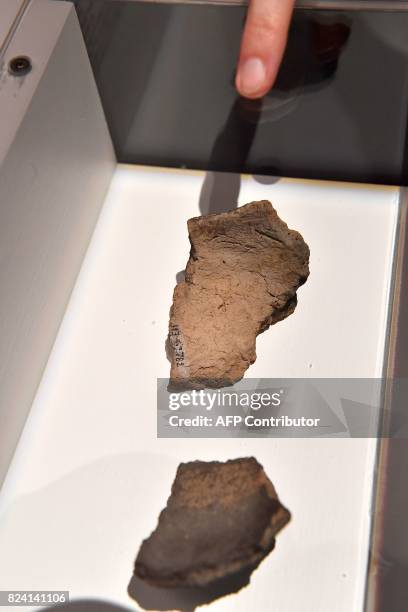 Visitor points to two fragments of terracotta dishes found in Georgia dating from the 6th millenium BC and containing traces of tartaric acid...