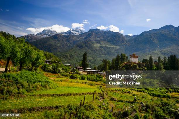 landscape of paro valley in bhutan - paro valley stock pictures, royalty-free photos & images