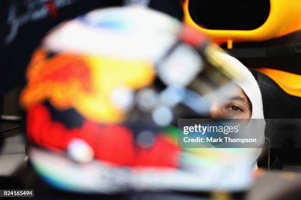 Daniel Ricciardo of Australia and Red Bull Racing prepares to drive during final practice for the Formula One Grand Prix of Hungary at Hungaroring on...