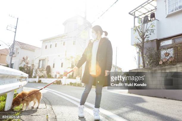dog-walking. - dog mask stock pictures, royalty-free photos & images