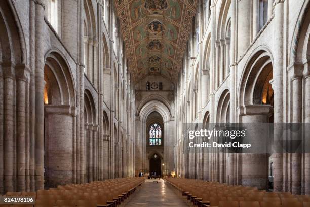 ely cathedral, ely, cambridgeshire - catedral de ely fotografías e imágenes de stock