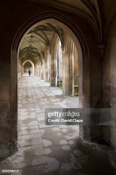 kings college, cambridge - ely stock pictures, royalty-free photos & images