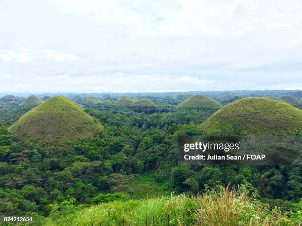 chocolate hills in forest - sean julian stock pictures, royalty-free photos & images