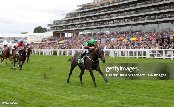 227 Princess Margaret Stakes Stock Photos, High-Res Pictures, and ...