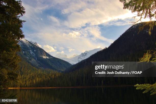 trees reflection on lake - joffre lakes provincial park stock pictures, royalty-free photos & images