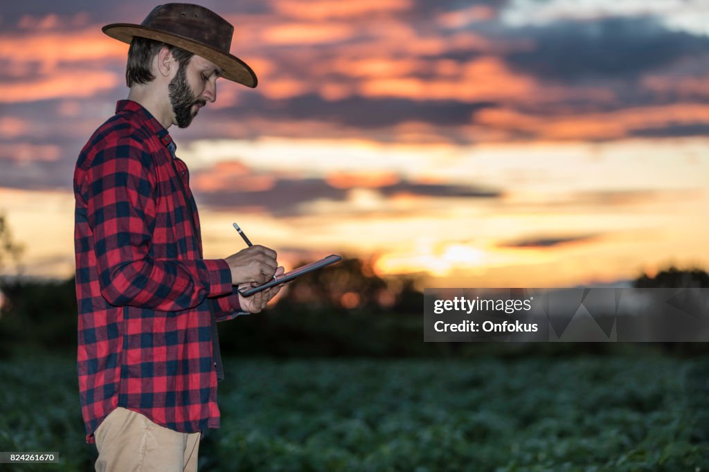 Mann-Bauer mit Digital-Tablette in Feld bei Sonnenuntergang