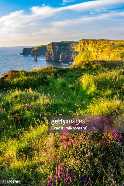 scenic view of cliffs of moher, liscannor, ireland - cliffs of moher stock-fotos und bilder
