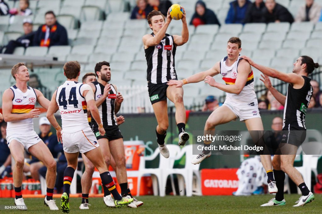 AFL Rd 19 - Collingwood v Adelaide