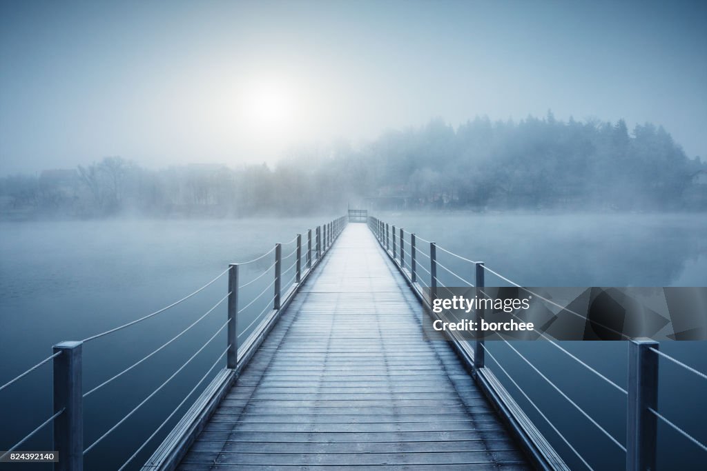 Winter door de Lake